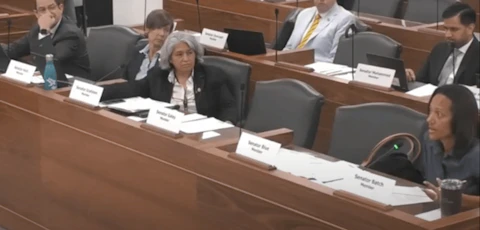 Sen. Sydney Batch, a Democrat, at right, tells a Senate Judiciary committee on Thursday that a ban on gender-affirming care for youth would increase suicide risk. (Screengrab courtesy of NC Newsline)