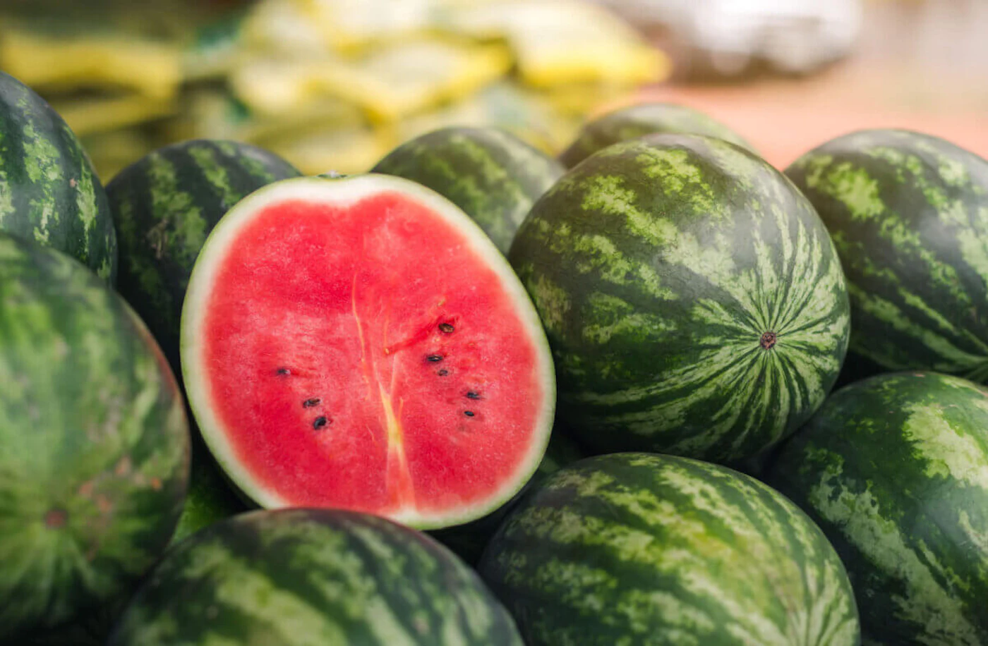 The extreme heat and dry conditions made for a rough start to watermelon season in NC, but July rains are bringing the melon back. (Shutterstock)