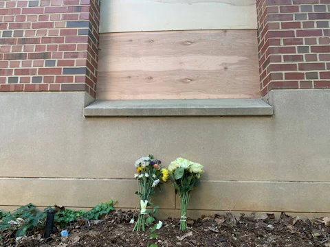 Flowers lay under a boarded up window at Caudill Labs on the UNC-Chapel Hill campus in Chapel Hill, N.C., Tuesday, Aug. 29, 2023, after a graduate student fatally shot his faculty adviser. A bullet hole could be seen earlier Tuesday in the bottom left corner of that window. (AP Photo/Hannah Schoenbaum)