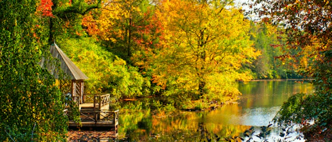 How to Get the Most Out of Fall in North Carolina’s Three Regions