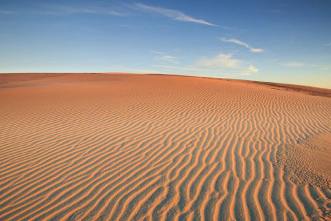 In the latest "Billy Ball Explains NC," we take a look at Jockey's Ridge, and how a local woman literally stopped a bulldozer to save it. (Shutterstock)
