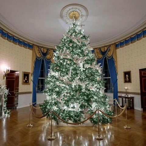 The 2021 official White House Christmas tree came from Jefferson, NC. This year, the tree will come from NC again, making it the 15th time since 1961 the tree comes from NC. (Image via The White House)