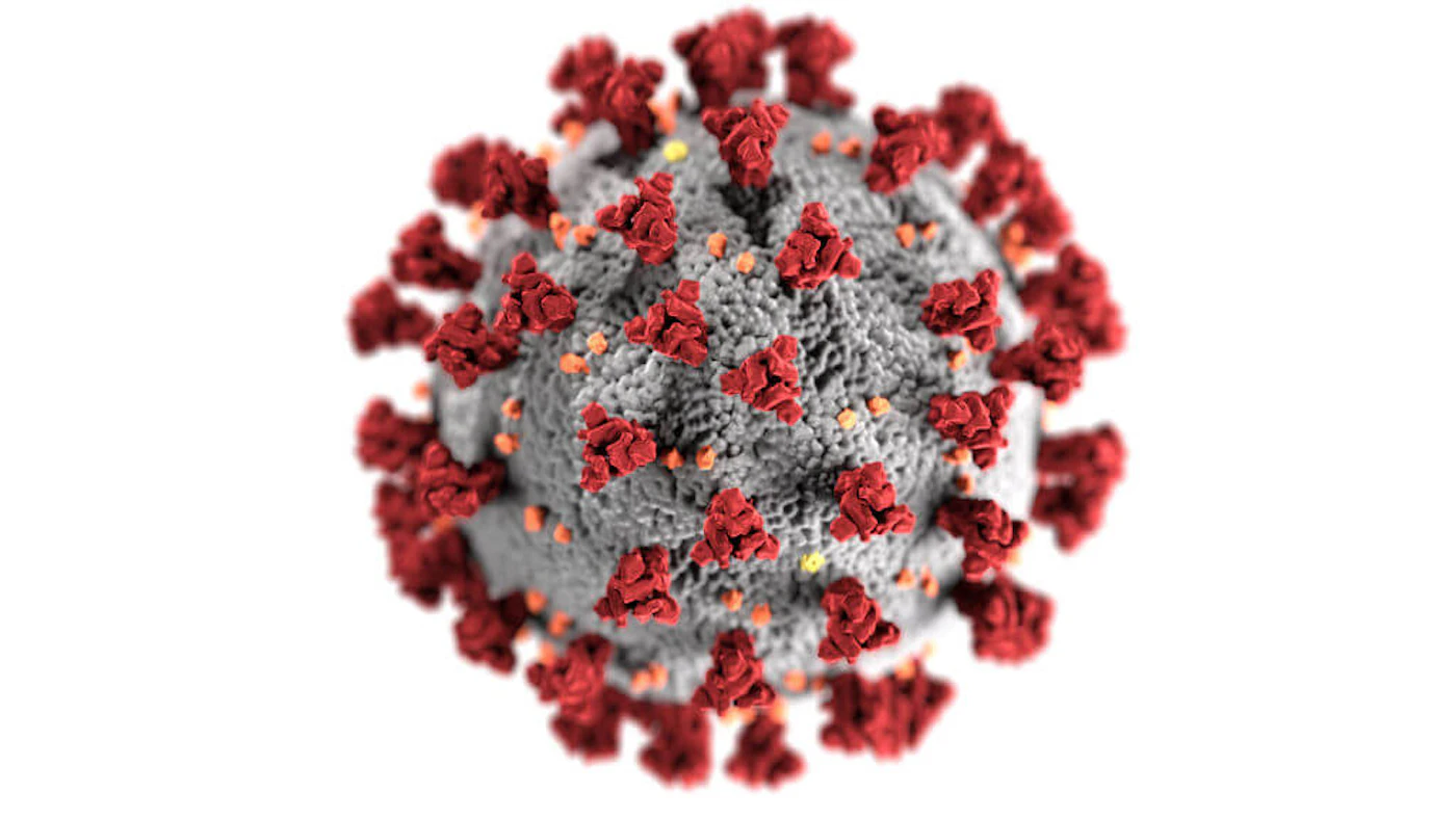 Photo by CDC/API/Gamma-Rapho via Getty Images