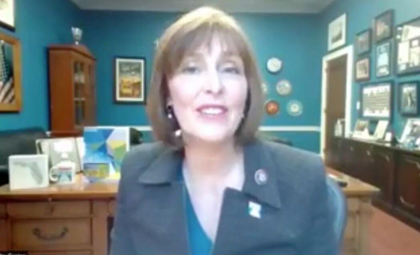 As the chair of the House Select Committee on the Climate Crisis, Rep. Castor outlined a path forward for climate action under the Biden administration. rep-kathy-castor