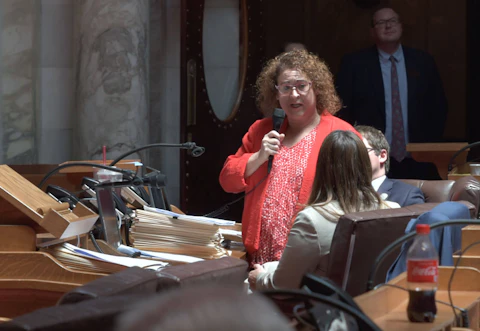 Rep. Lisa Subeck (D-Madison) speaks during a June 22, 2021, Assembly floor session. (Photo by Christina Lieffring)