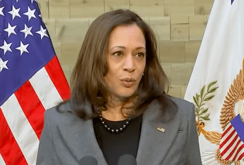 Vice President Kamala Harris speaks in Milwaukee about the Biden administration's lead pipe and paint remediation efforts. (Screenshot via C-SPAN)