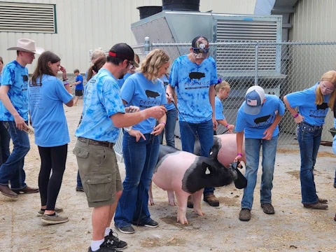 Pig Pals at Northern WI State Fair