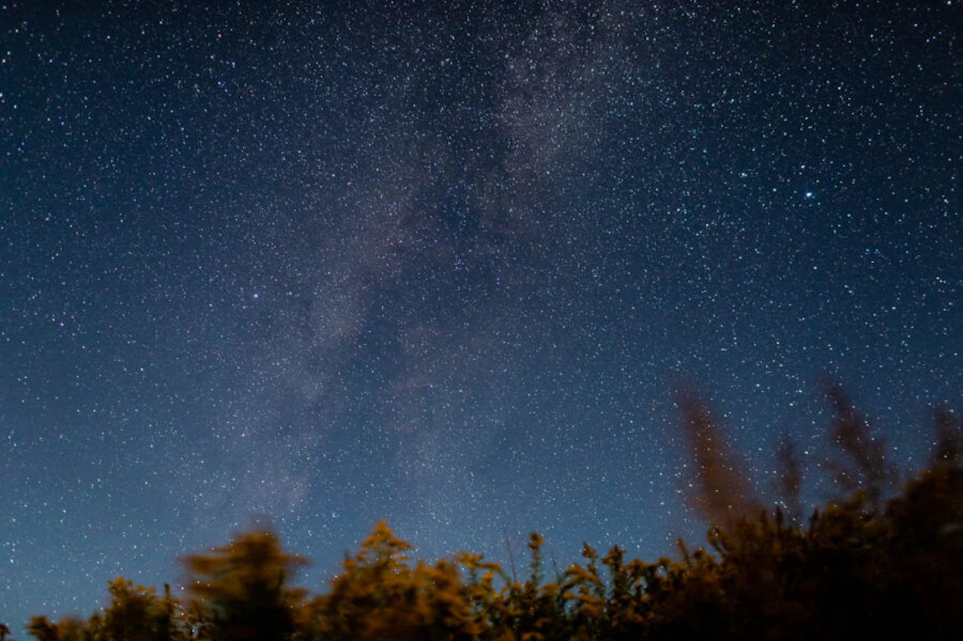 The Milky Way is seen clearly at Cherry Springs State Park in early October. (Photo by Will Parson/Chesapeake Bay Program)