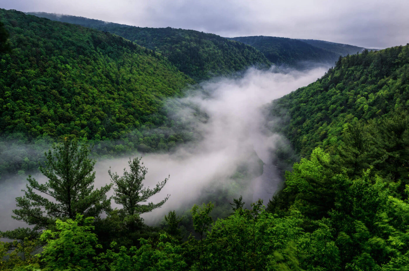 Morning fog in the valley of Pine Creek in Colton Point state park. The deepest point of the canyon is 1,450 feet (440 m), and is known as Grand Canyon of Pennsylvania.