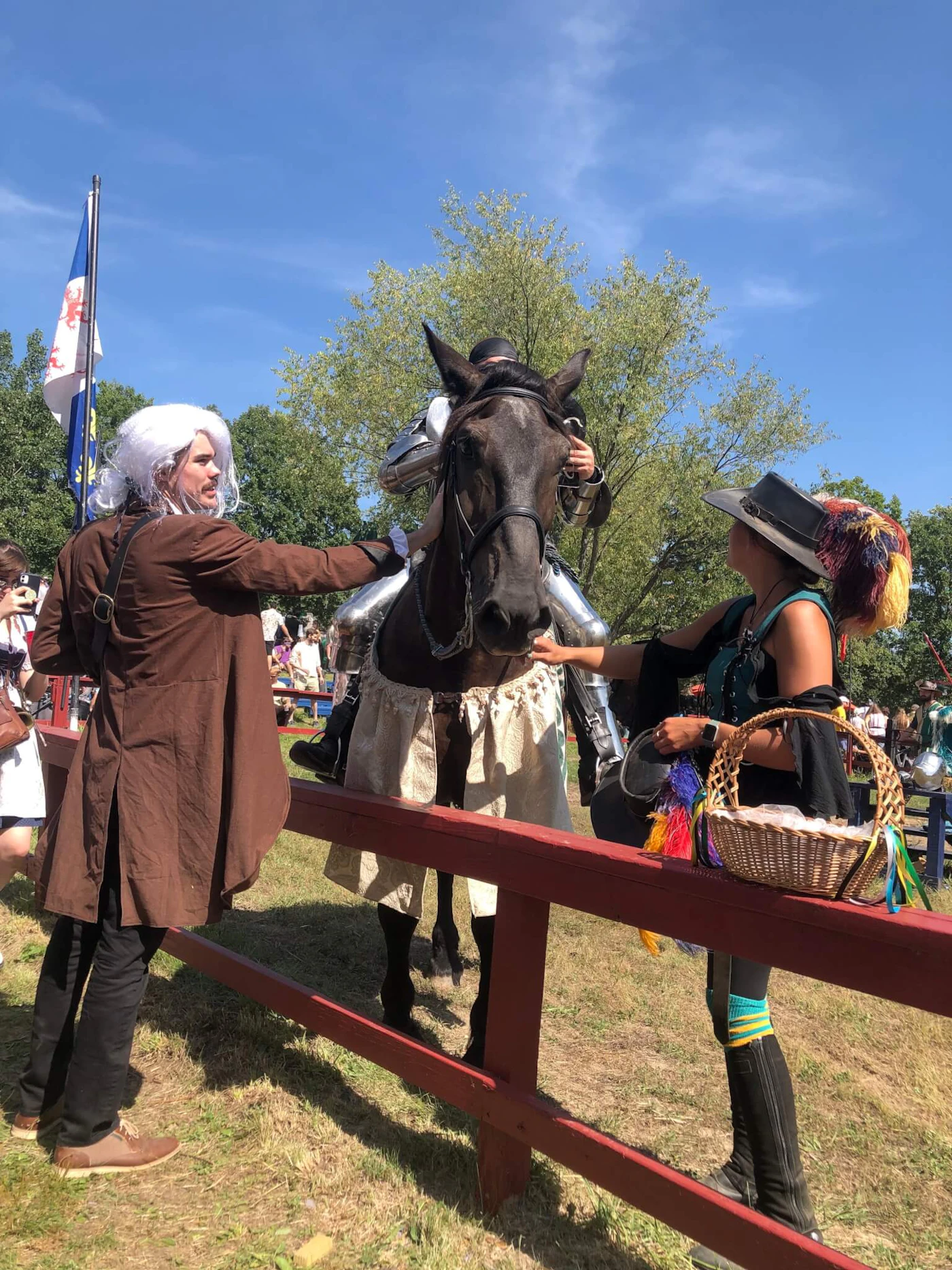 Renaissance Fair Mead Joust T-Shirt