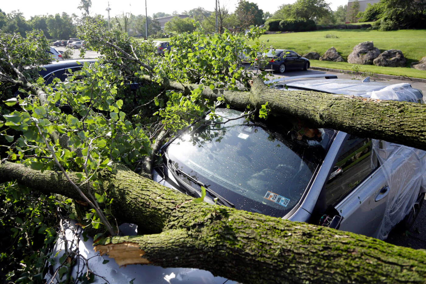 Downed tree limbs remain on cars outside a business Wednesday, May 29, 2019, in Morgantown, Pa. The National Weather Service says a tornado has been confirmed Tuesday in eastern Pennsylvania, where damage to some homes and businesses occurred, but there were no immediate reports of injuries. (AP Photo/Jacqueline Larma)