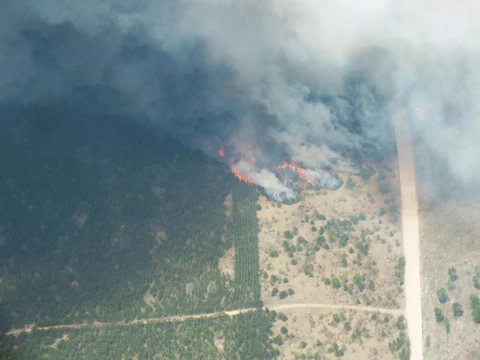 This aerial image provided by the The Michigan Department of Natural Resources shows a fire line near a roadway near Grayling, Mich., June 3, 2023. (The Michigan Department of Natural Resources via AP)