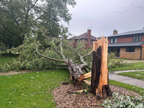 A fallen tree blocked a driveway and sidewalk in Grosse Pointe Park, Mich., after a severe storm, Wednesday, July 26, 2033. (AP Photo/Ed White)